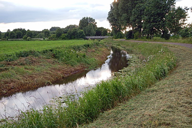 Schonen von Röhrichtbeständen