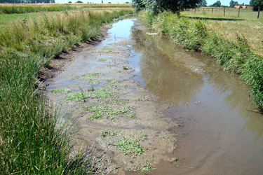 Sedimentbänke in der Kendel