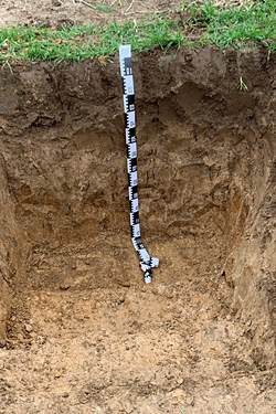 Bodenprofilaufnahme und Vorbereitung für bodenphysikalische Untersuchungen, u. a. zur Bestimmung der Feldkapazitäten