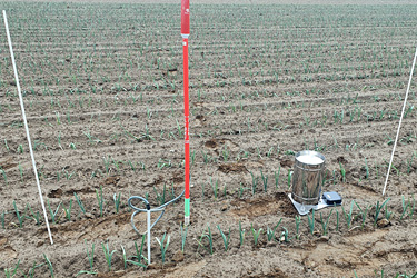 Bodenfeuchtesensoren und Regenmesser im Porree