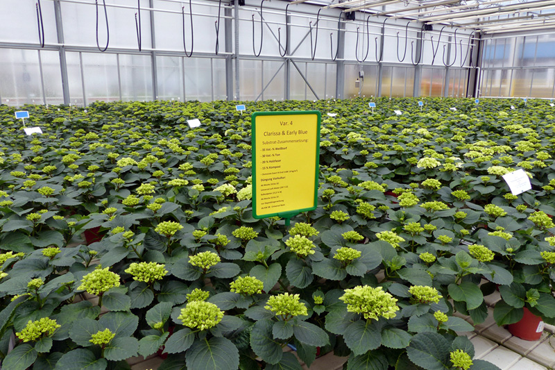 Fotorundgang 03 / 2017 Straelen