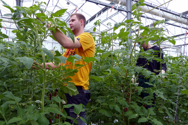 Fotorundgang 03 / 2017 Straelen