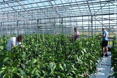 Fotorundgang 04 / 2018 Straelen