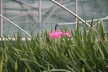 Fotorundgang 09 / 2018 Straelen