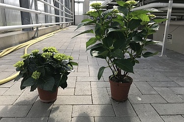 Fotorundgang 03 / 2019 Straelen