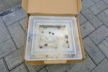 Fotorundgang 04 / 2019 Straelen