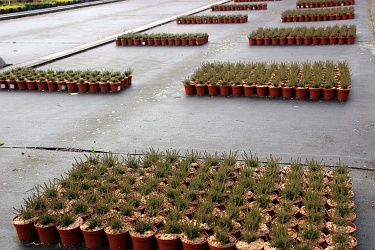 Fotorundgang 05 / 2019 Straelen