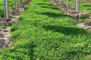 Fotorundgang 05 / 2020 Köln-Auweiler