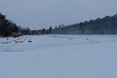 Fotorundgang 2 / 2021 Straelen