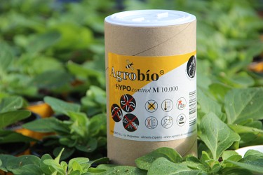 Fotorundgang 3 / 2021 Straelen