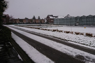 Fotorundgang 4 / 2021 Straelen