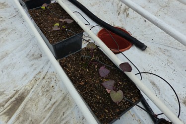 Fotorundgang 4 / 2021 Straelen