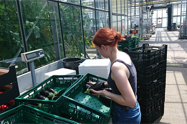 Fotorundgang 6 / 2021 Straelen