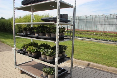 Fotorundgang 9 / 2021 Straelen