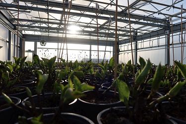 Fotorundgang 1 / 2022 Straelen