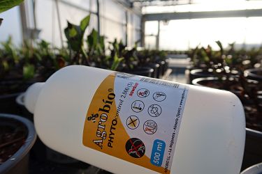 Fotorundgang 1 / 2022 Straelen