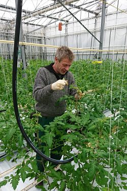 Fotorundgang 2 / 2022 Straelen