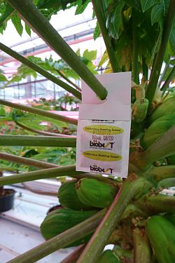 Fotorundgang 2 / 2022 Straelen