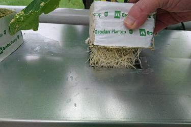 Fotorundgang 2 / 2022 Straelen