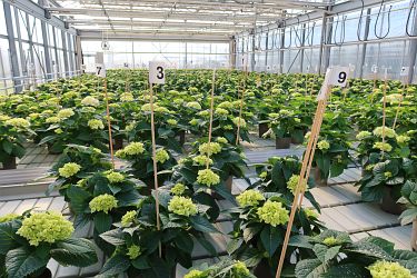 Fotorundgang 3 / 2022 Straelen