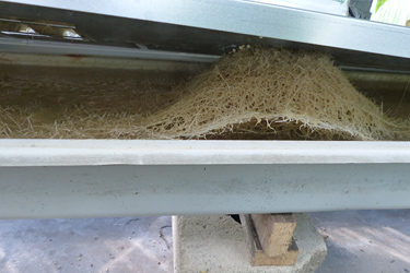 Fotorundgang 4 / 2022 Straelen