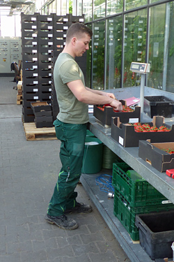 Fotorundgang 4 / 2022 Straelen