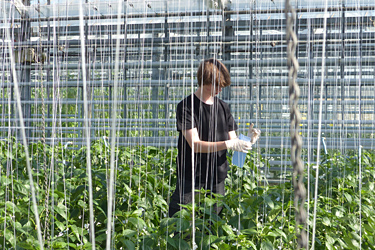 Fotorundgang 4 / 2022 Straelen