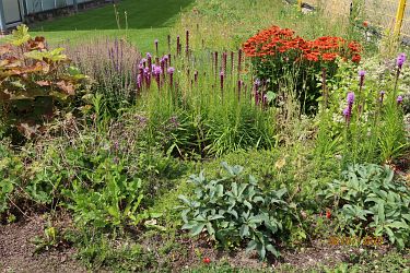 Fotorundgang 7 / 2022 Straelen