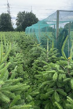 Fotorundgang 6 / 2023 Köln-Auweiler