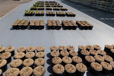 Fotorundgang 5 / 2023 Straelen