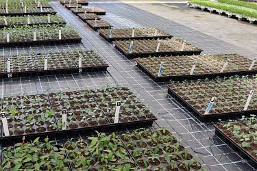 Fotorundgang 5 / 2023 Straelen