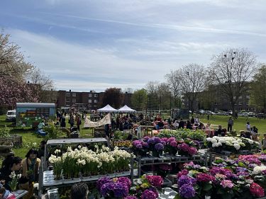 Fotorundgang 5 / 2023 Straelen