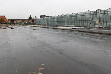 Fotorundgang 11 / Straelen