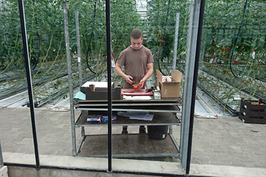 Fotorundgang 6 / 2024 Straelen