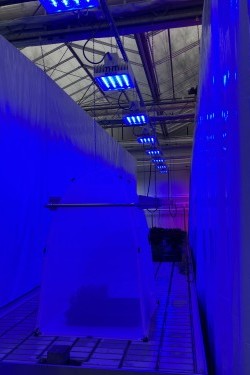 Fotorundgang 11 / 2024 Straelen