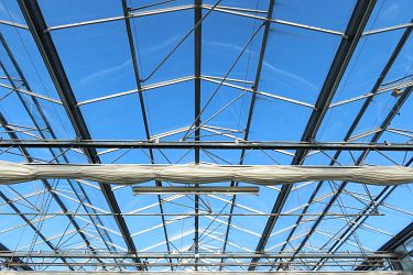 Fotorundgang 01 / 2025 Straelen