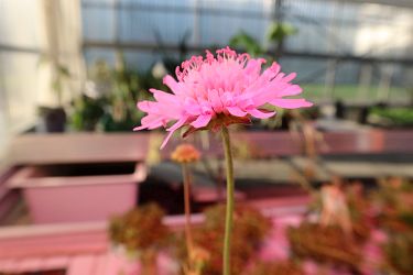 Fotorundgang 01 / 2025 Straelen