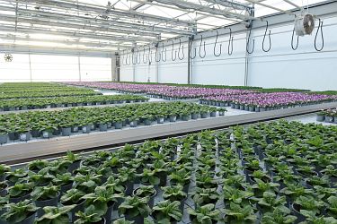 Fotorundgang 01 / 2025 Straelen