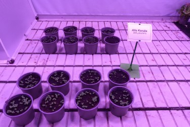 Fotorundgang 02 / 2025 Straelen