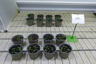 Fotorundgang 02 / 2025 Straelen