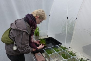 Fotorundgang 02 / 2025 Straelen