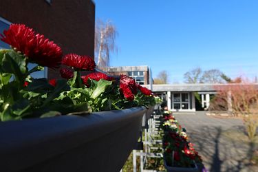 Fotorundgang 03 / 2025 Straelen