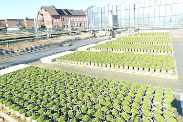 Fotorundgang 03 / 2025 Straelen