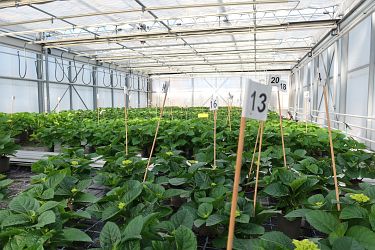 Fotorundgang 03 / 2025 Straelen