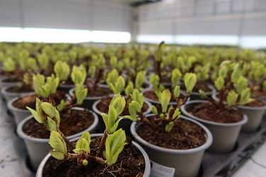 Fotorundgang 03 / 2025 Straelen