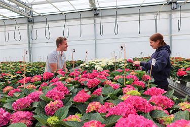 Fotorundgang 05 / 2025 Straelen