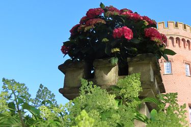 Fotorundgang 07 / 2025 Straelen