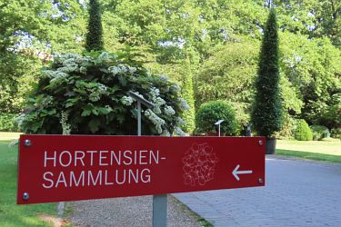 Fotorundgang 07 / 2025 Straelen