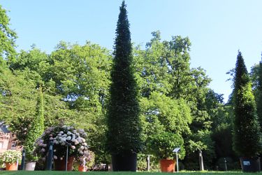 Fotorundgang 07 / 2025 Straelen