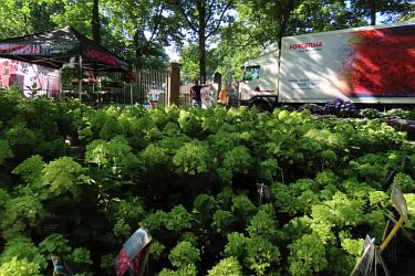 Fotorundgang 07 / 2025 Straelen